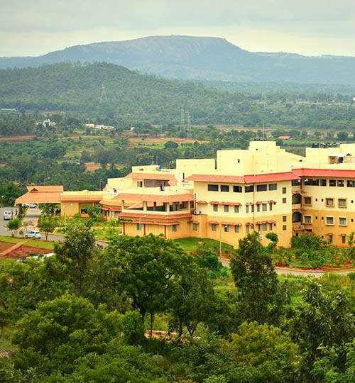 Sri Sri  Ayurveda