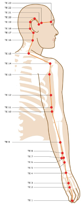 acupressure, cupping therapy, naturopathy