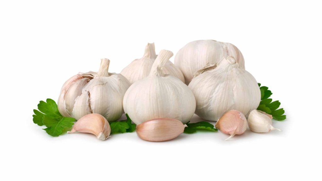 Garlic