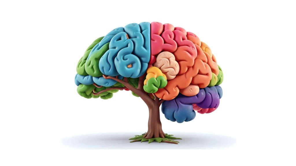 Management of Alzheimer’s Disease