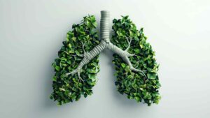 Remedies for pneumonia