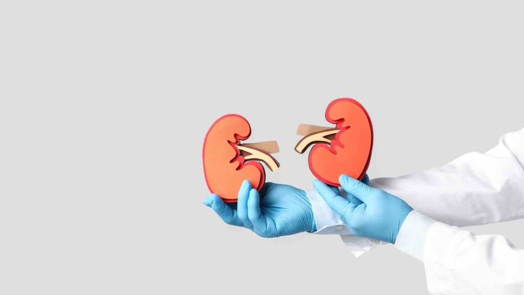 Remedies for Kidney Stones